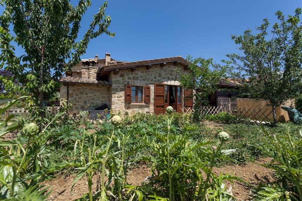 Il Belvederino Panzió Brufa Kültér fotó